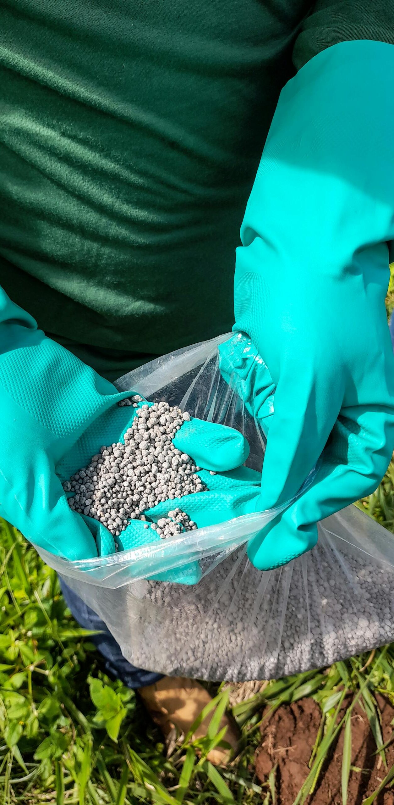 FERTILIZANTES