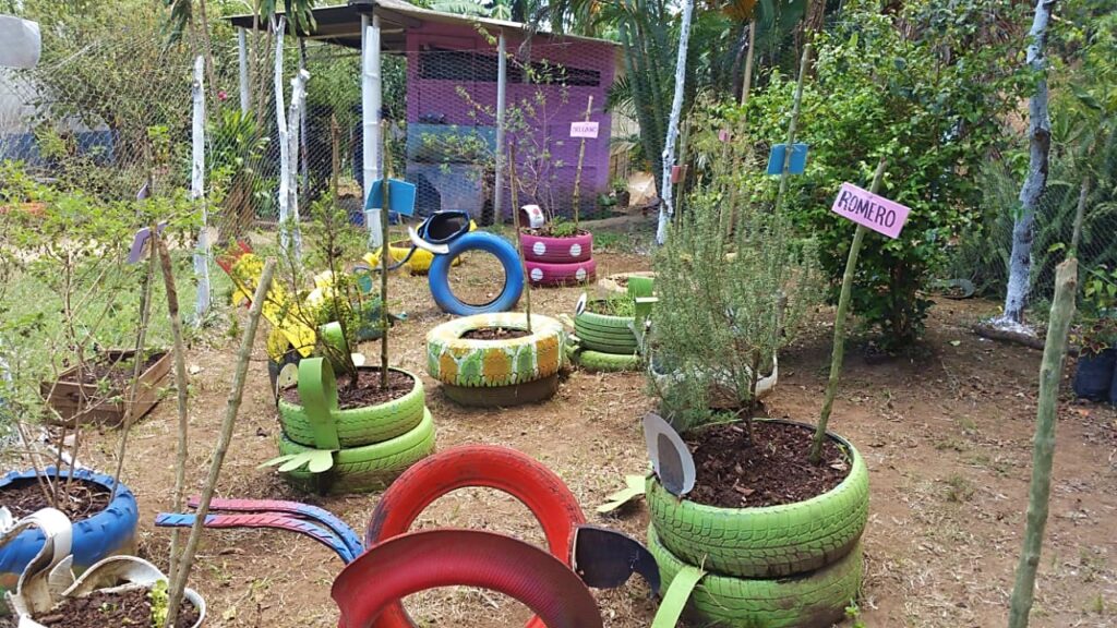 Ejemplo de cultivo urbano aprovechando el reciclaje... Ejemplo de cultivo urbano aprovechando el reciclaje.
